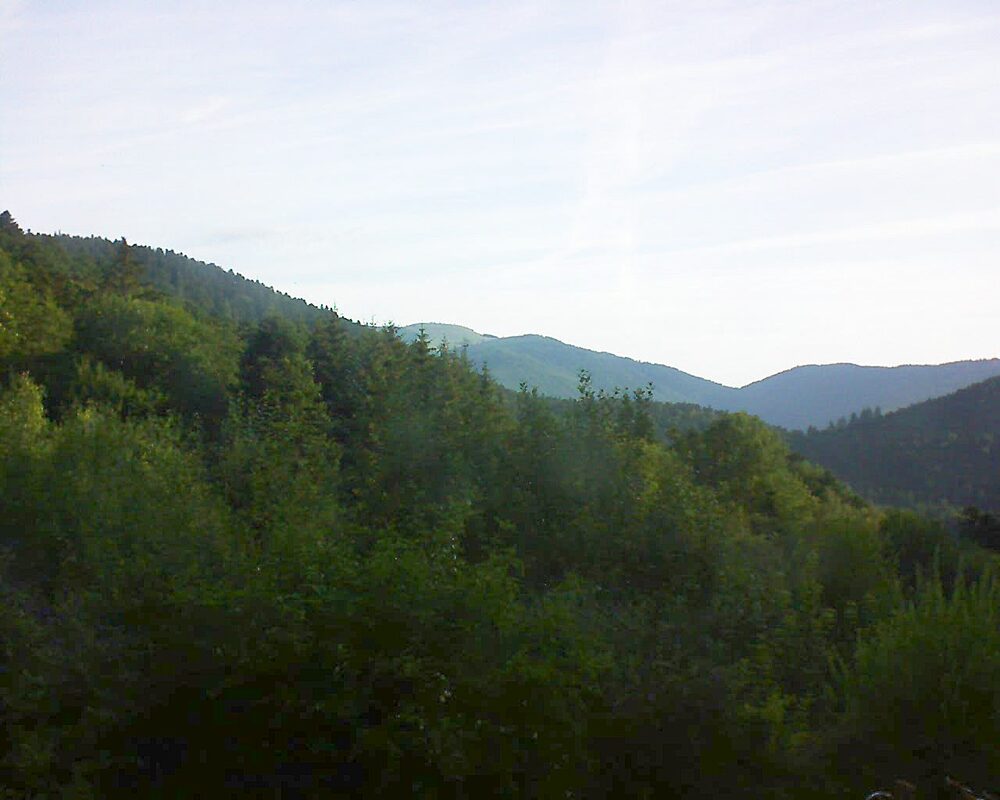 Le petit ballon vu depuis le Domaine Langmatt à Murbach le 19.07.2024 à 07:45 Le petit ballon (Alsace, Vosges) le 19.07.2024 à 07:45