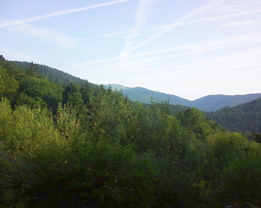 Le petit ballon vu depuis le Domaine Langmatt à Murbach le 19.07.2024 à 08:45 Le petit ballon (Alsace, Vosges) le 19.07.2024 à 08:45