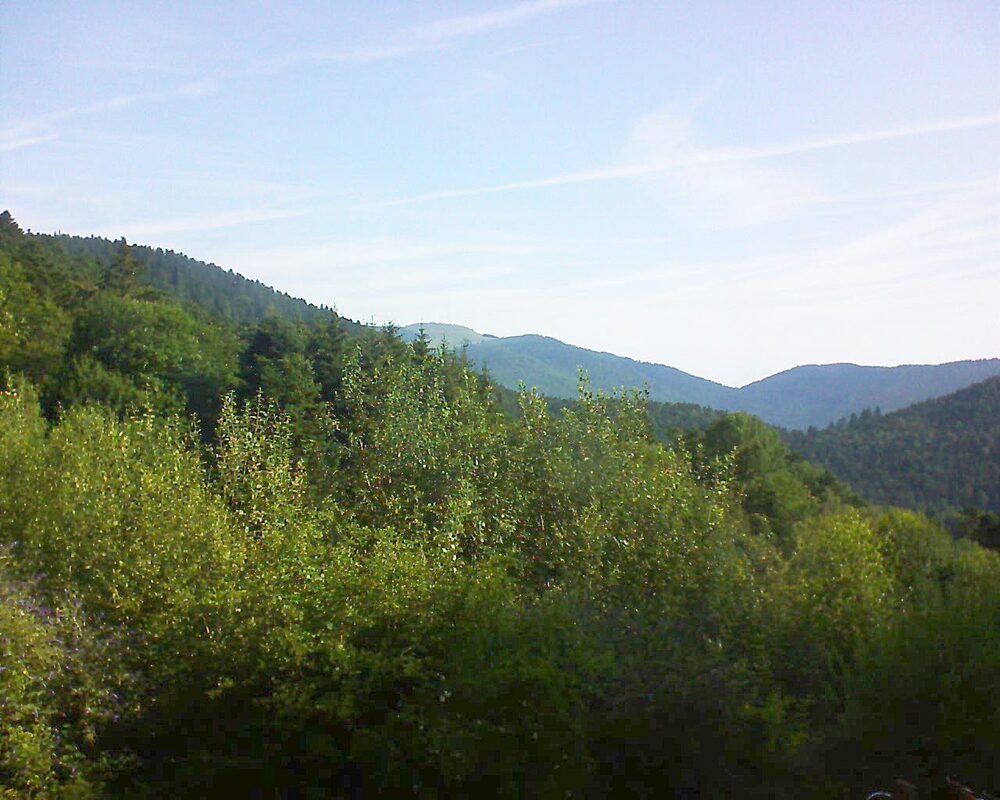 Le petit ballon vu depuis le Domaine Langmatt à Murbach le 19.07.2024 à 09:00 Le petit ballon (Alsace, Vosges) le 19.07.2024 à 09:00