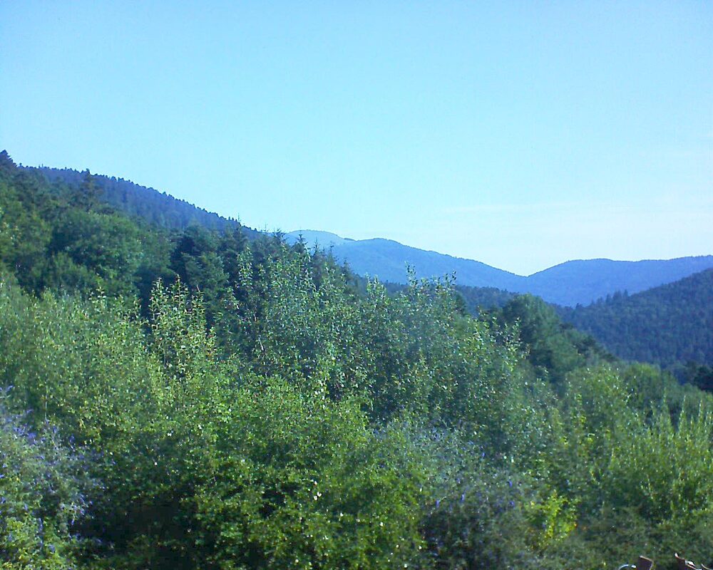 Le petit ballon vu depuis le Domaine Langmatt à Murbach le 19.07.2024 à 09:45 Le petit ballon (Alsace, Vosges) le 19.07.2024 à 09:45