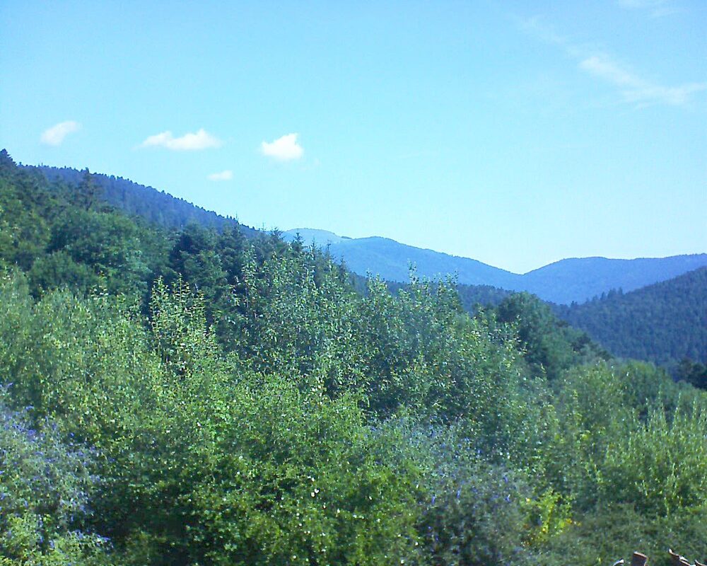 Le petit ballon vu depuis le Domaine Langmatt à Murbach le 19.07.2024 à 10:45 Le petit ballon (Alsace, Vosges) le 19.07.2024 à 10:45