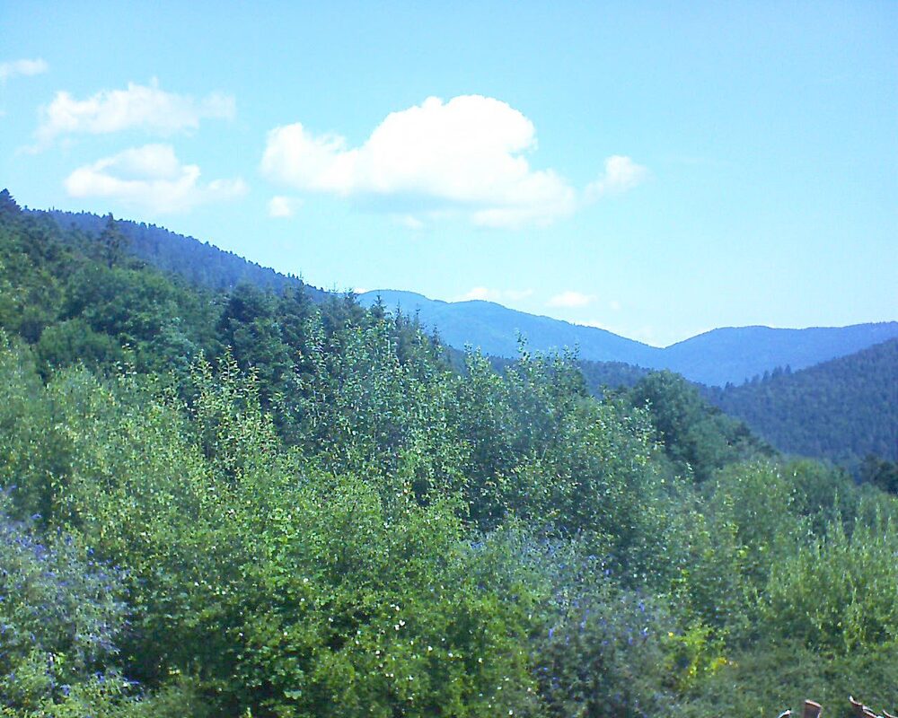 Le petit ballon vu depuis le Domaine Langmatt à Murbach le 19.07.2024 à 11:45 Le petit ballon (Alsace, Vosges) le 19.07.2024 à 11:45