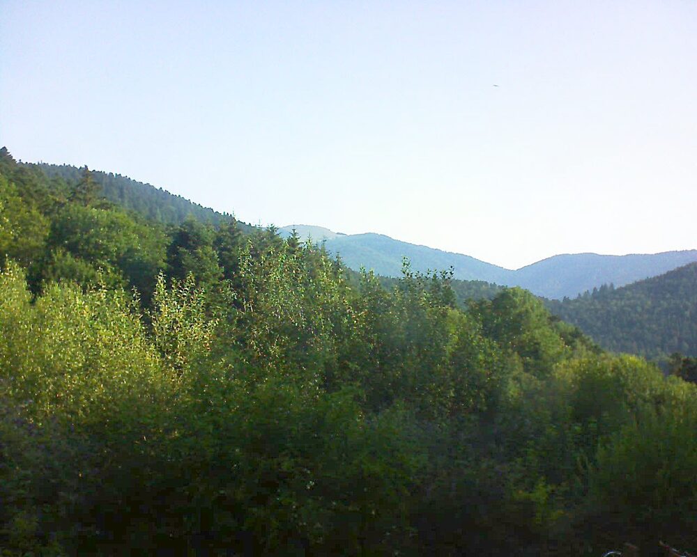 Le petit ballon vu depuis le Domaine Langmatt à Murbach le 20.07.2024 à 08:45 Le petit ballon (Alsace, Vosges) le 20.07.2024 à 08:45