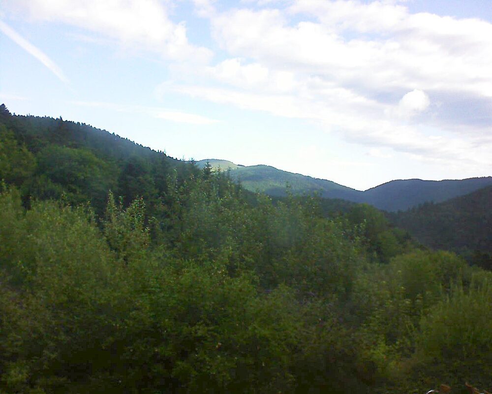 Le petit ballon vu depuis le Domaine Langmatt à Murbach le 22.07.2024 à 08:45 Le petit ballon (Alsace, Vosges) le 22.07.2024 à 08:45