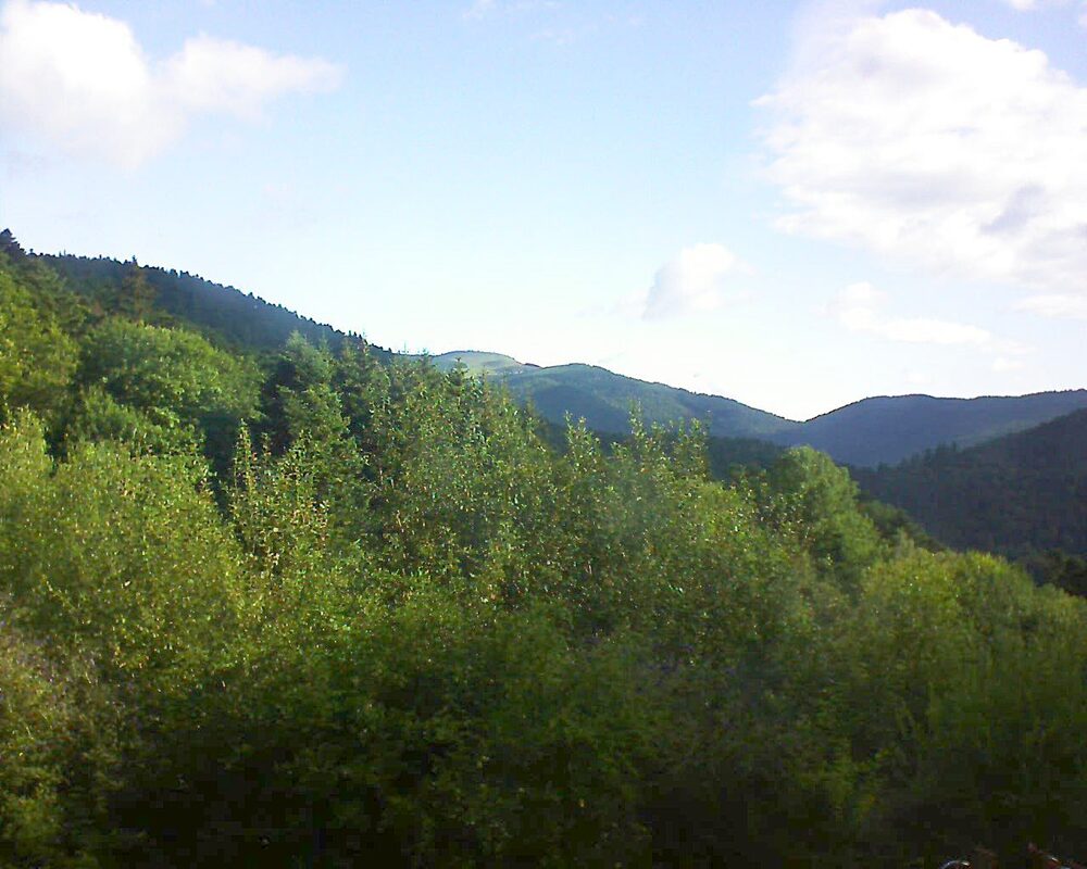 Le petit ballon vu depuis le Domaine Langmatt à Murbach le 22.07.2024 à 09:00 Le petit ballon (Alsace, Vosges) le 22.07.2024 à 09:00