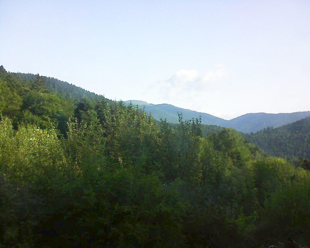 Le petit ballon vu depuis le Domaine Langmatt à Murbach le 02.08.2024 à 09:00 Le petit ballon (Alsace, Vosges) le 02.08.2024 à 09:00