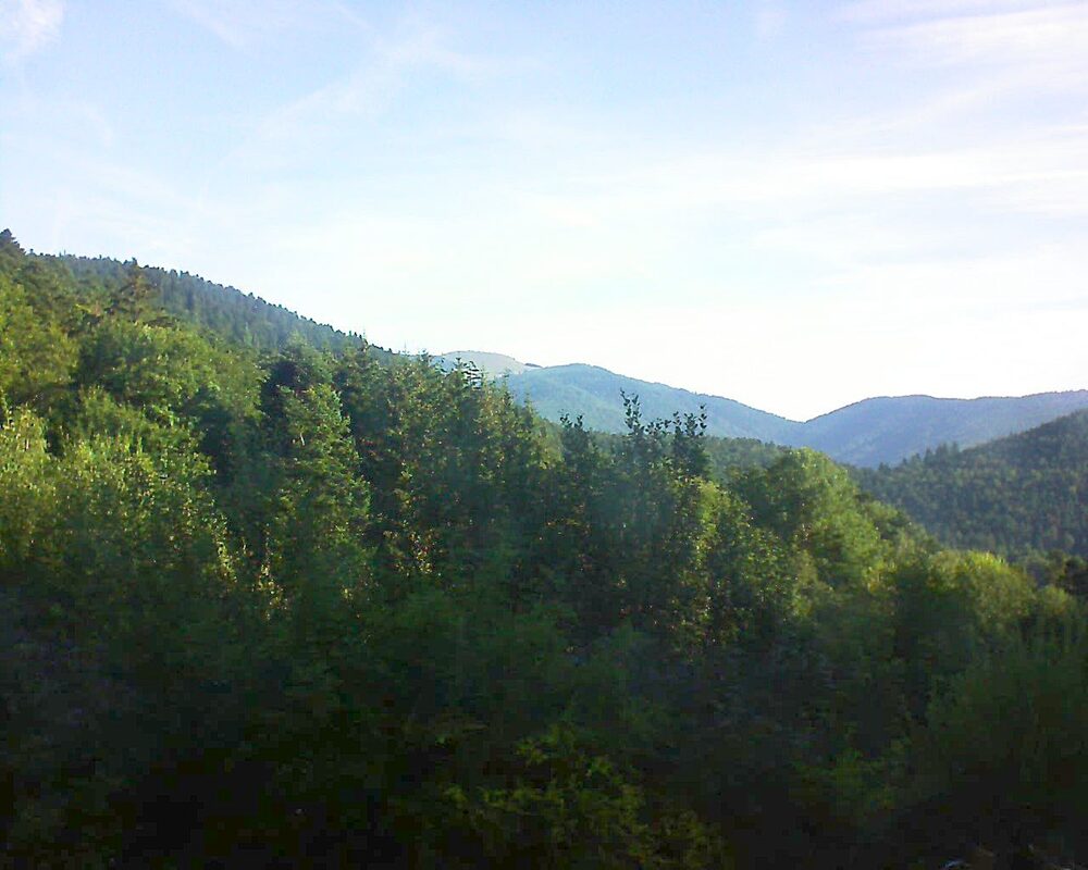 Le petit ballon vu depuis le Domaine Langmatt à Murbach le 05.08.2024 à 08:45 Le petit ballon (Alsace, Vosges) le 05.08.2024 à 08:45