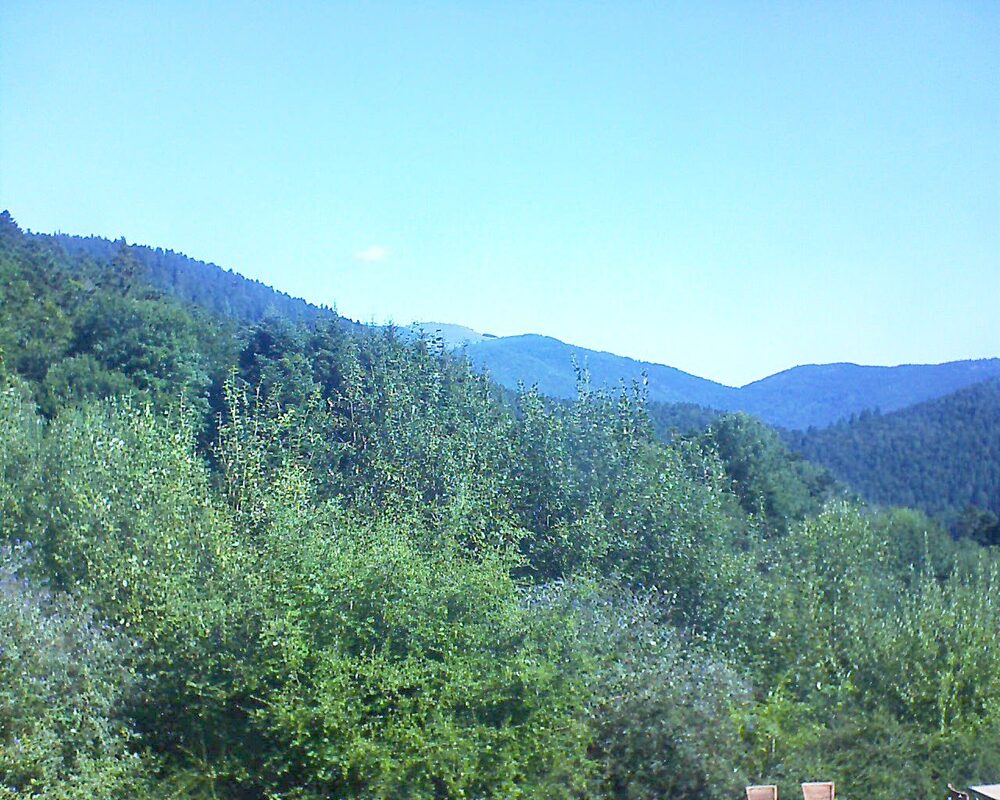 Le petit ballon vu depuis le Domaine Langmatt à Murbach le 15.08.2024 à 10:45 Le petit ballon (Alsace, Vosges) le 15.08.2024 à 10:45