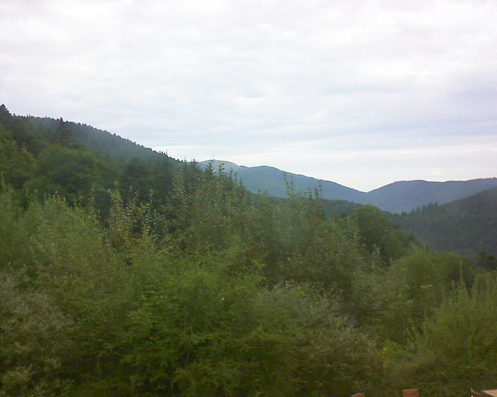 Le petit ballon vu depuis le Domaine Langmatt à Murbach le 02.09.2024 à 08:45 Le petit ballon (Alsace, Vosges) le 02.09.2024 à 08:45