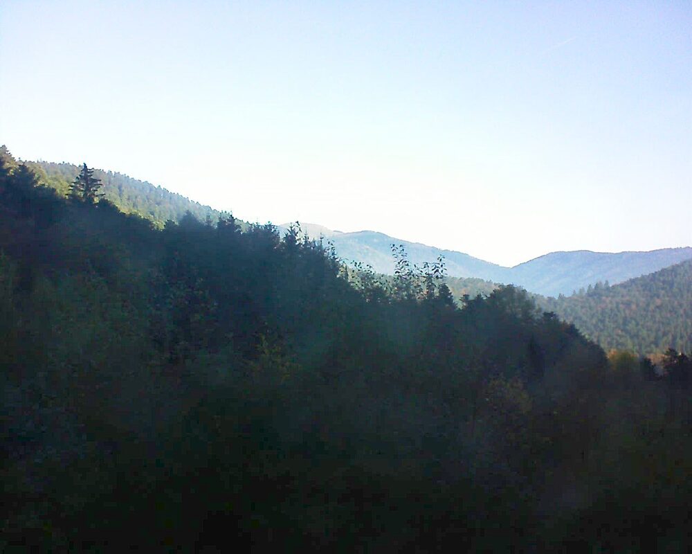 Le petit ballon vu depuis le Domaine Langmatt à Murbach le 16.11.2024 à 09:30 Le petit ballon (Alsace, Vosges) le 16.11.2024 à 09:30