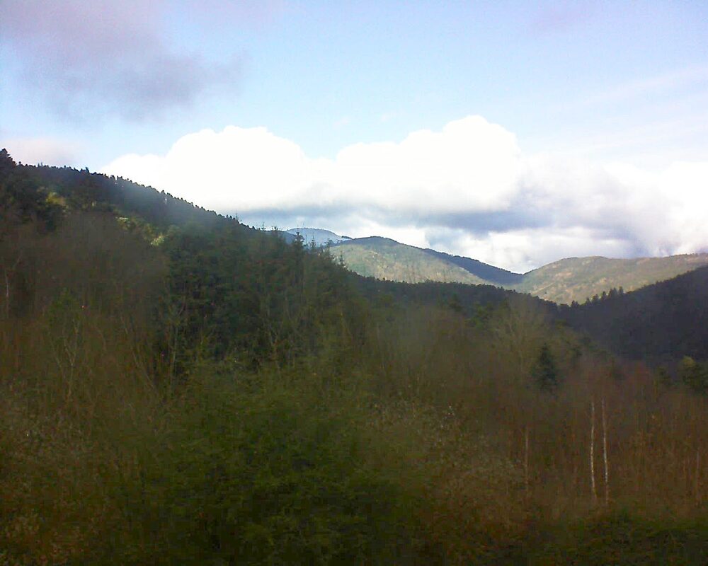 Le petit ballon vu depuis le Domaine Langmatt à Murbach le 08.12.2024 à 13:45 Le petit ballon (Alsace, Vosges) le 08.12.2024 à 13:45