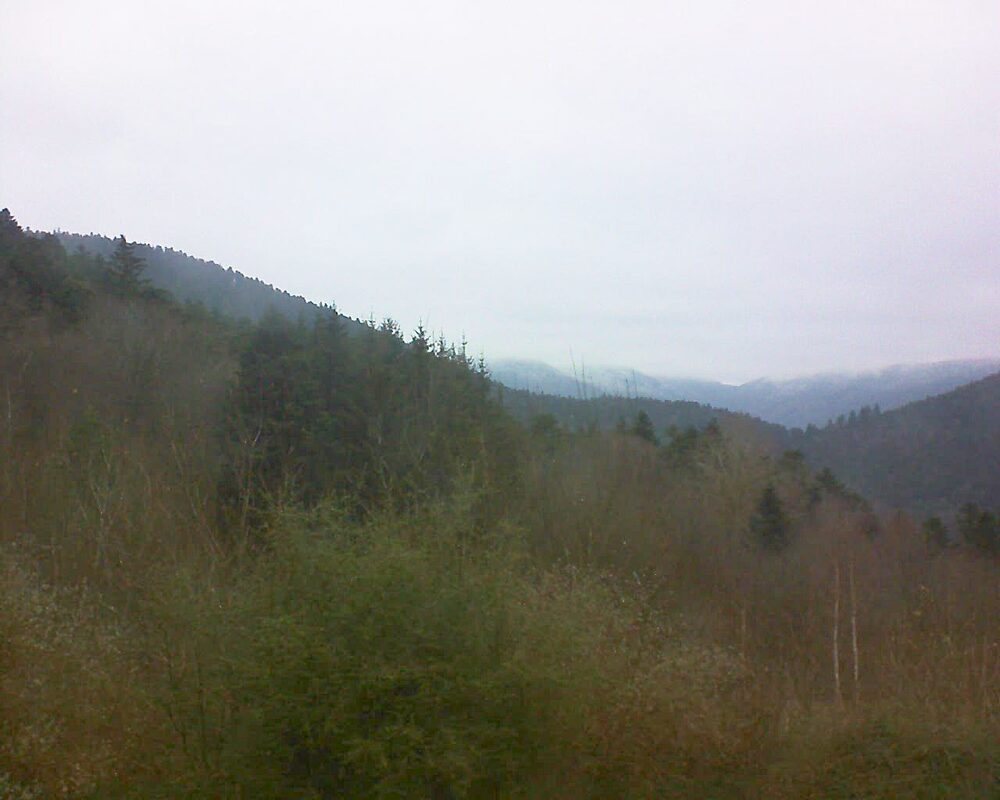 Le petit ballon vu depuis le Domaine Langmatt à Murbach le 11.12.2024 à 10:45 Le petit ballon (Alsace, Vosges) le 11.12.2024 à 10:45