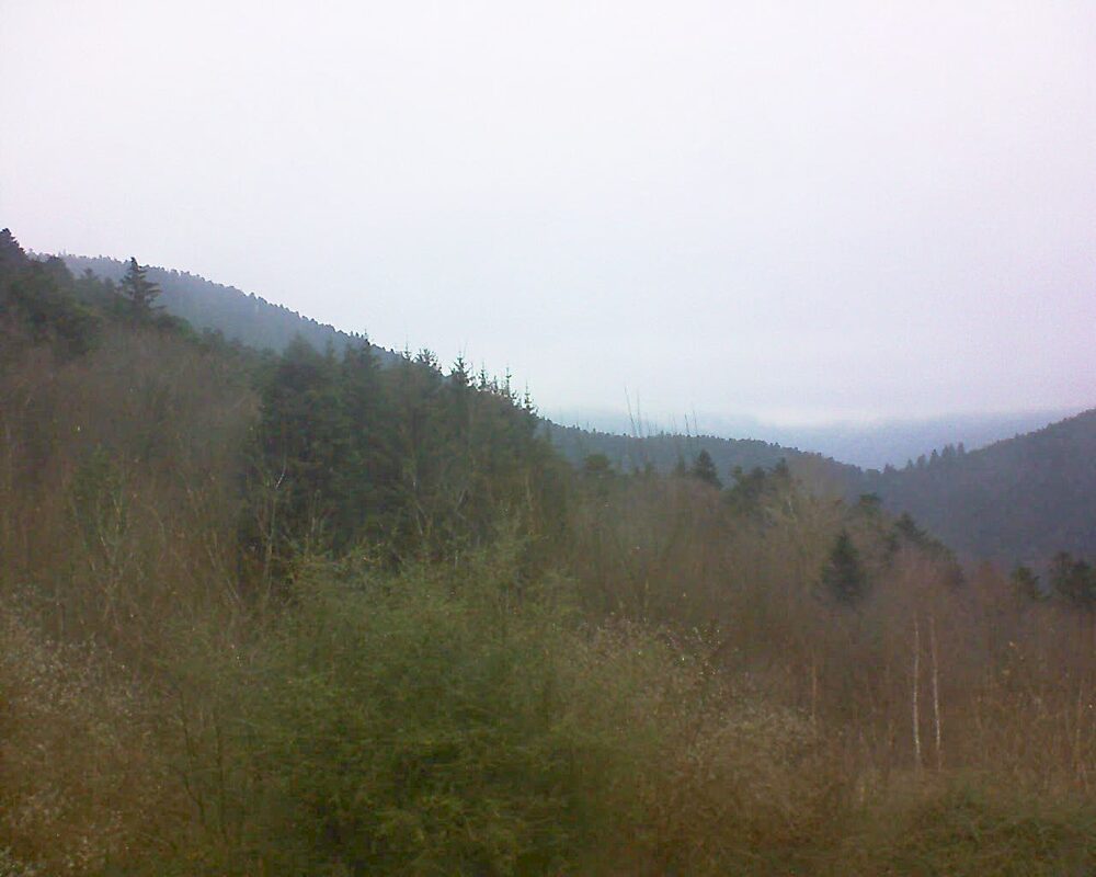 Le petit ballon vu depuis le Domaine Langmatt à Murbach le 11.12.2024 à 13:15 Le petit ballon (Alsace, Vosges) le 11.12.2024 à 13:15
