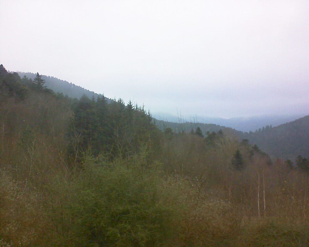 Le petit ballon vu depuis le Domaine Langmatt à Murbach le 11.12.2024 à 13:45 Le petit ballon (Alsace, Vosges) le 11.12.2024 à 13:45