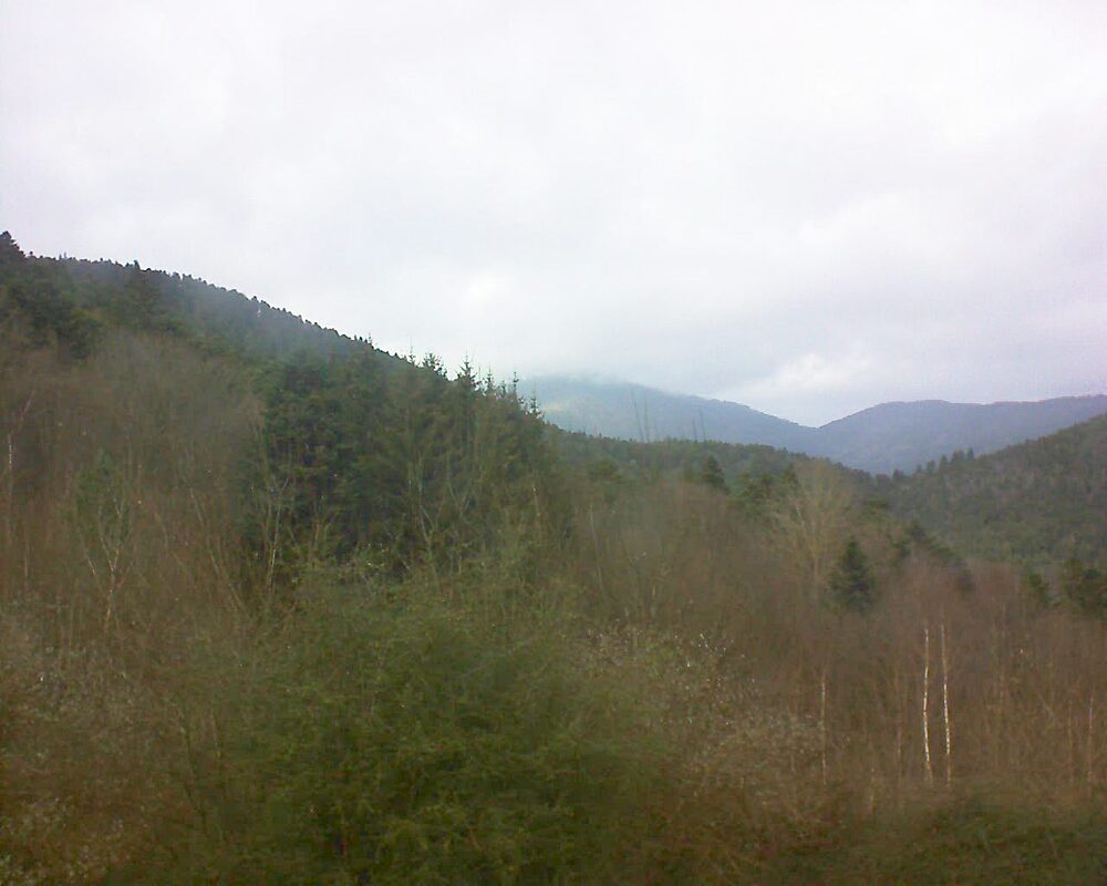 Le petit ballon vu depuis le Domaine Langmatt à Murbach le 15.12.2024 à 13:45 Le petit ballon (Alsace, Vosges) le 15.12.2024 à 13:45