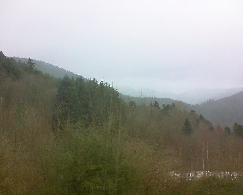 Le petit ballon vu depuis le Domaine Langmatt à Murbach le 21.12.2024 à 13:45 Le petit ballon (Alsace, Vosges) le 21.12.2024 à 13:45
