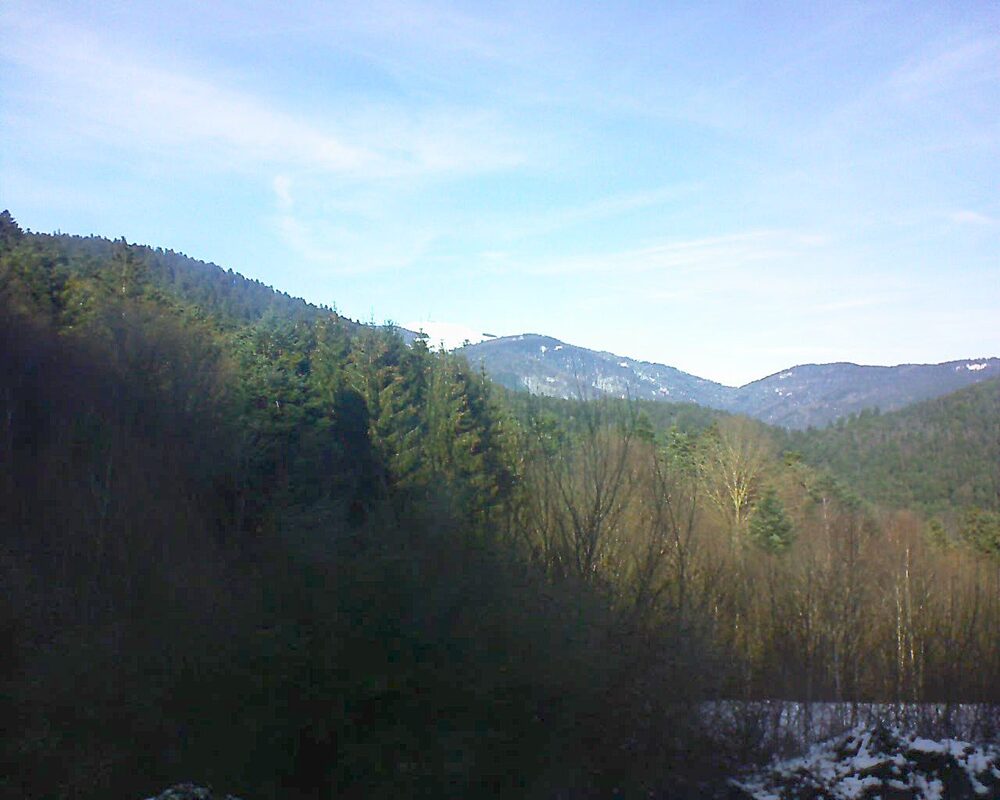 Le petit ballon vu depuis le Domaine Langmatt à Murbach le 25.12.2024 à 13:15 Le petit ballon (Alsace, Vosges) le 25.12.2024 à 13:15