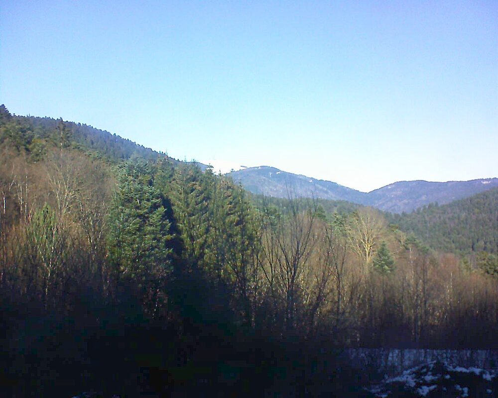 Le petit ballon vu depuis le Domaine Langmatt à Murbach le 28.12.2024 à 12:45 Le petit ballon (Alsace, Vosges) le 28.12.2024 à 12:45