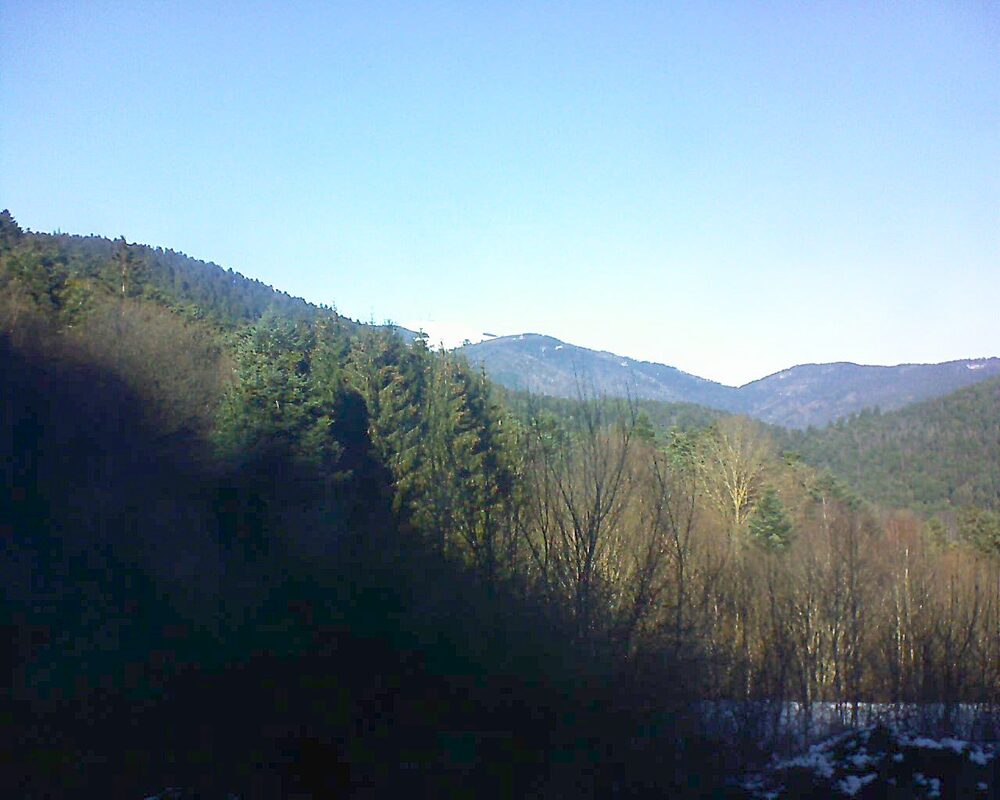 Le petit ballon vu depuis le Domaine Langmatt à Murbach le 28.12.2024 à 13:15 Le petit ballon (Alsace, Vosges) le 28.12.2024 à 13:15