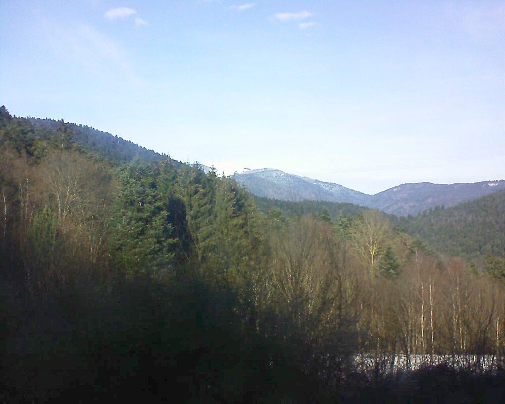 Le petit ballon vu depuis le Domaine Langmatt à Murbach le 04.01.2025 à 13:15 Le petit ballon (Alsace, Vosges) le 04.01.2025 à 13:15