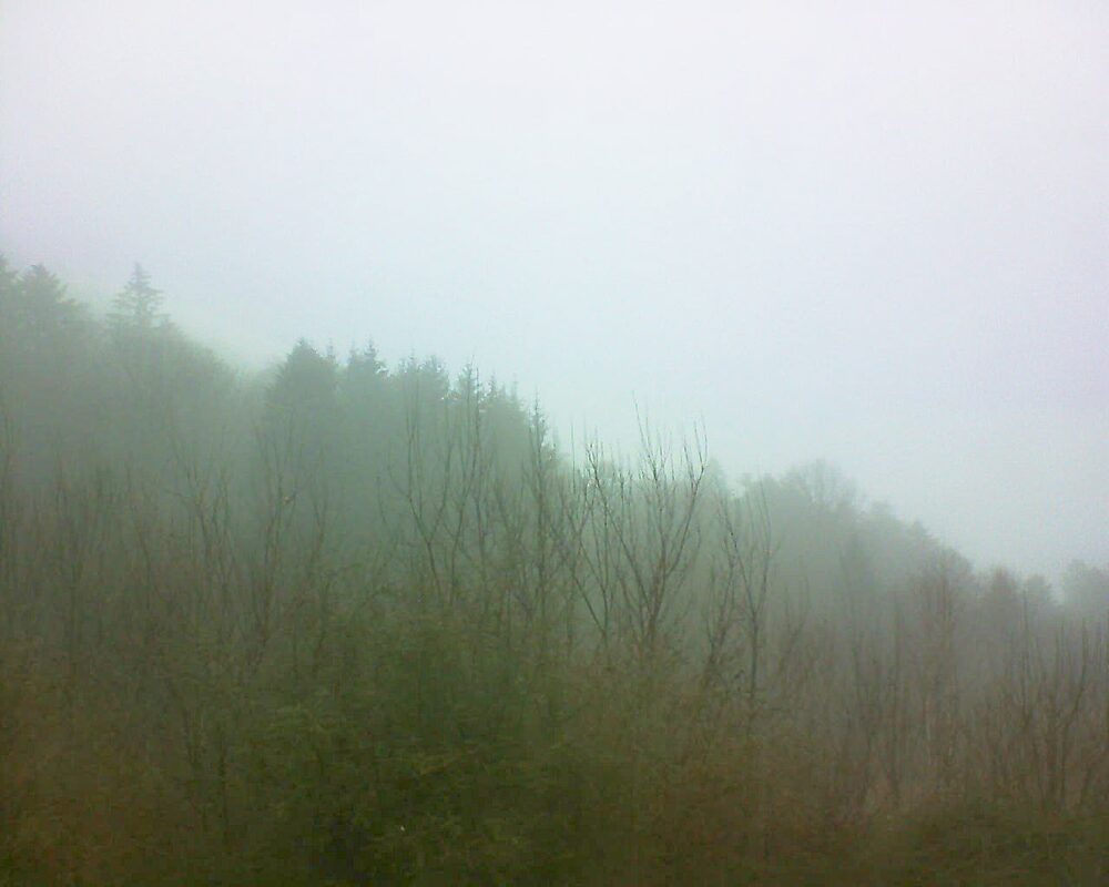 Le petit ballon vu depuis le Domaine Langmatt à Murbach le 08.01.2025 à 10:15 Le petit ballon (Alsace, Vosges) le 08.01.2025 à 10:15