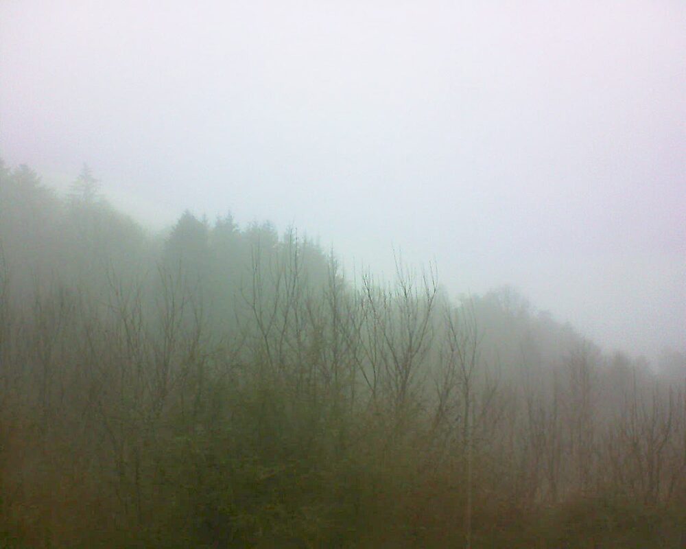 Le petit ballon vu depuis le Domaine Langmatt à Murbach le 08.01.2025 à 10:45 Le petit ballon (Alsace, Vosges) le 08.01.2025 à 10:45