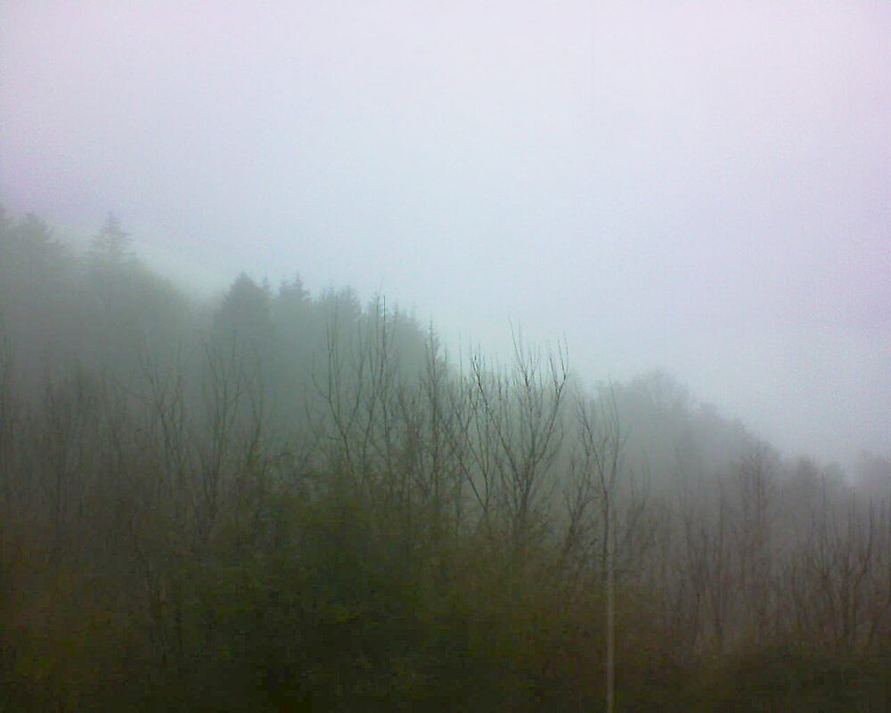 Le petit ballon vu depuis le Domaine Langmatt à Murbach le 08.01.2025 à 13:15 Le petit ballon (Alsace, Vosges) le 08.01.2025 à 13:15