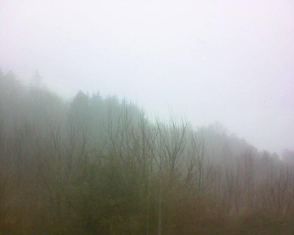 Le petit ballon vu depuis le Domaine Langmatt à Murbach le 08.01.2025 à 13:30 Le petit ballon (Alsace, Vosges) le 08.01.2025 à 13:30