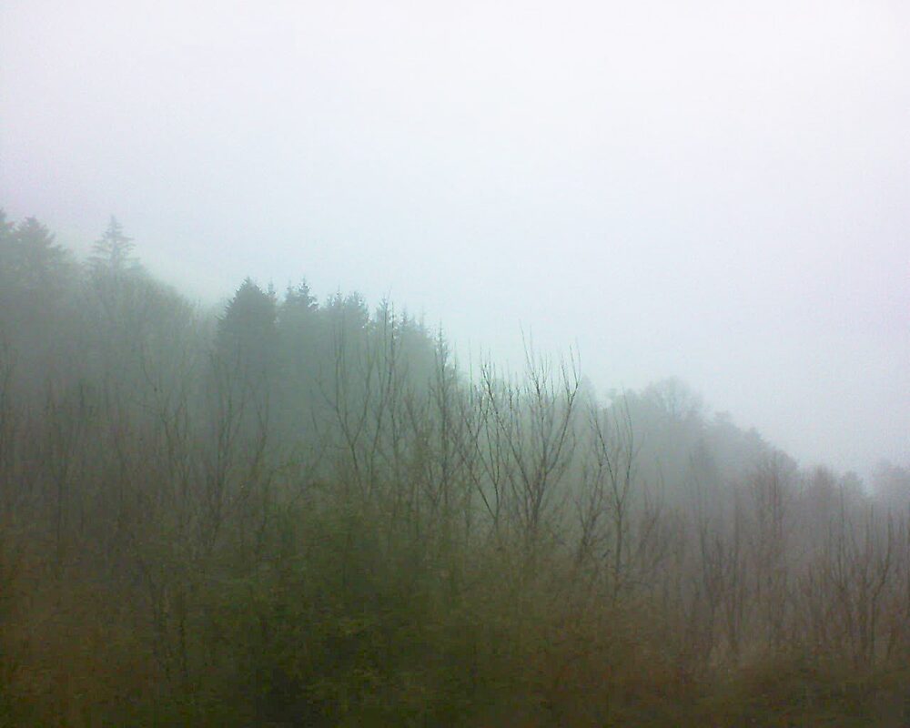 Le petit ballon vu depuis le Domaine Langmatt à Murbach le 08.01.2025 à 13:45 Le petit ballon (Alsace, Vosges) le 08.01.2025 à 13:45