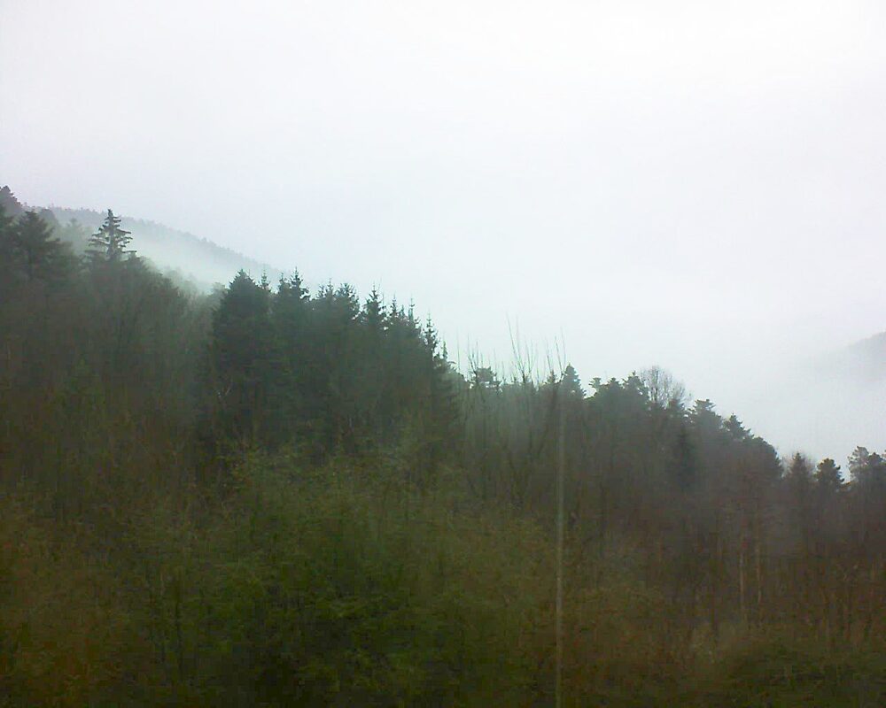 Le petit ballon vu depuis le Domaine Langmatt à Murbach le 08.01.2025 à 14:00 Le petit ballon (Alsace, Vosges) le 08.01.2025 à 14:00