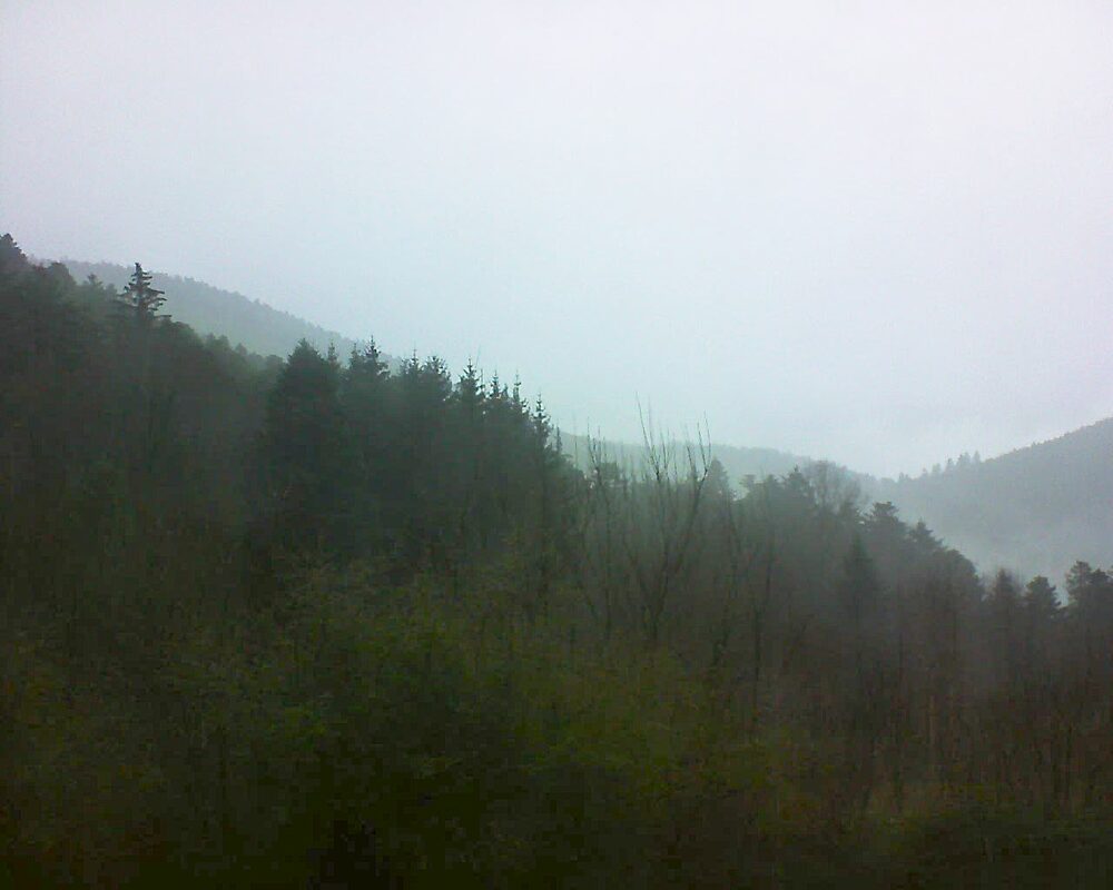 Le petit ballon vu depuis le Domaine Langmatt à Murbach le 08.01.2025 à 14:45 Le petit ballon (Alsace, Vosges) le 08.01.2025 à 14:45