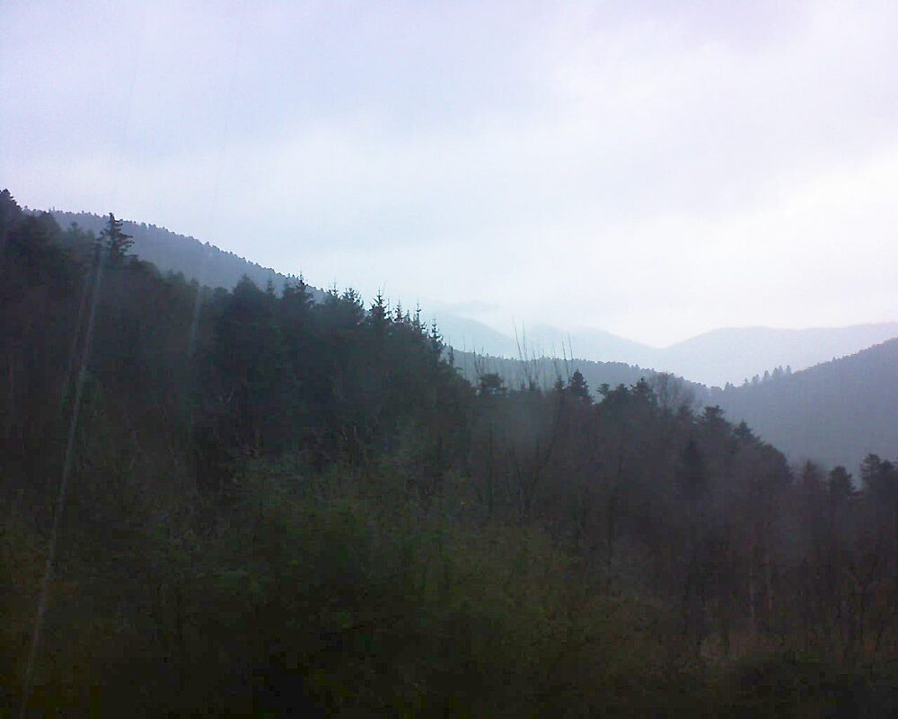 Le petit ballon vu depuis le Domaine Langmatt à Murbach le 09.01.2025 à 13:45 Le petit ballon (Alsace, Vosges) le 09.01.2025 à 13:45
