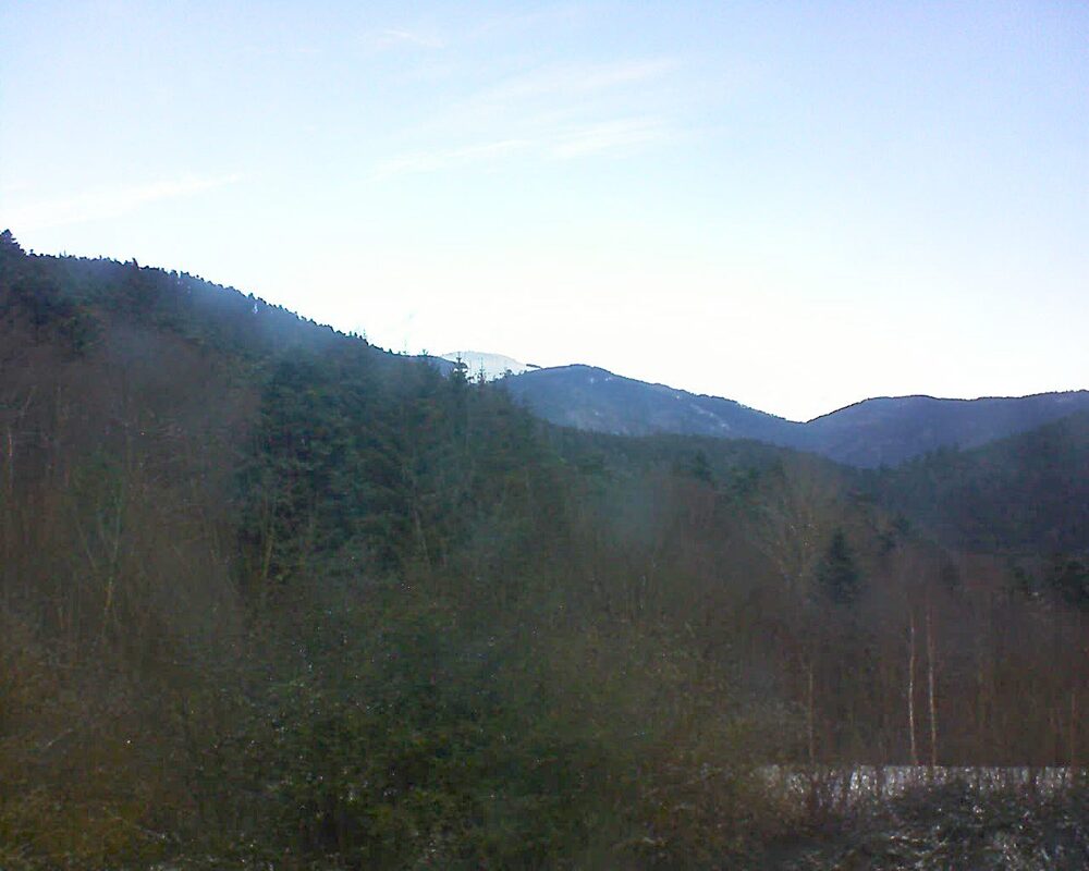 Le petit ballon vu depuis le Domaine Langmatt à Murbach le 10.01.2025 à 10:45 Le petit ballon (Alsace, Vosges) le 10.01.2025 à 10:45