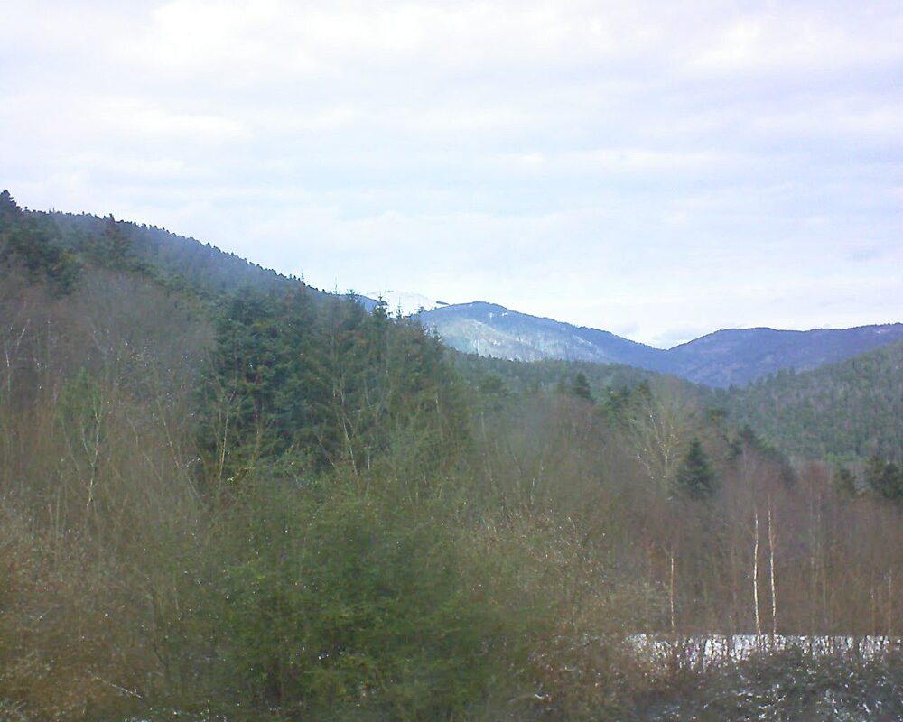 Le petit ballon vu depuis le Domaine Langmatt à Murbach le 10.01.2025 à 12:45 Le petit ballon (Alsace, Vosges) le 10.01.2025 à 12:45