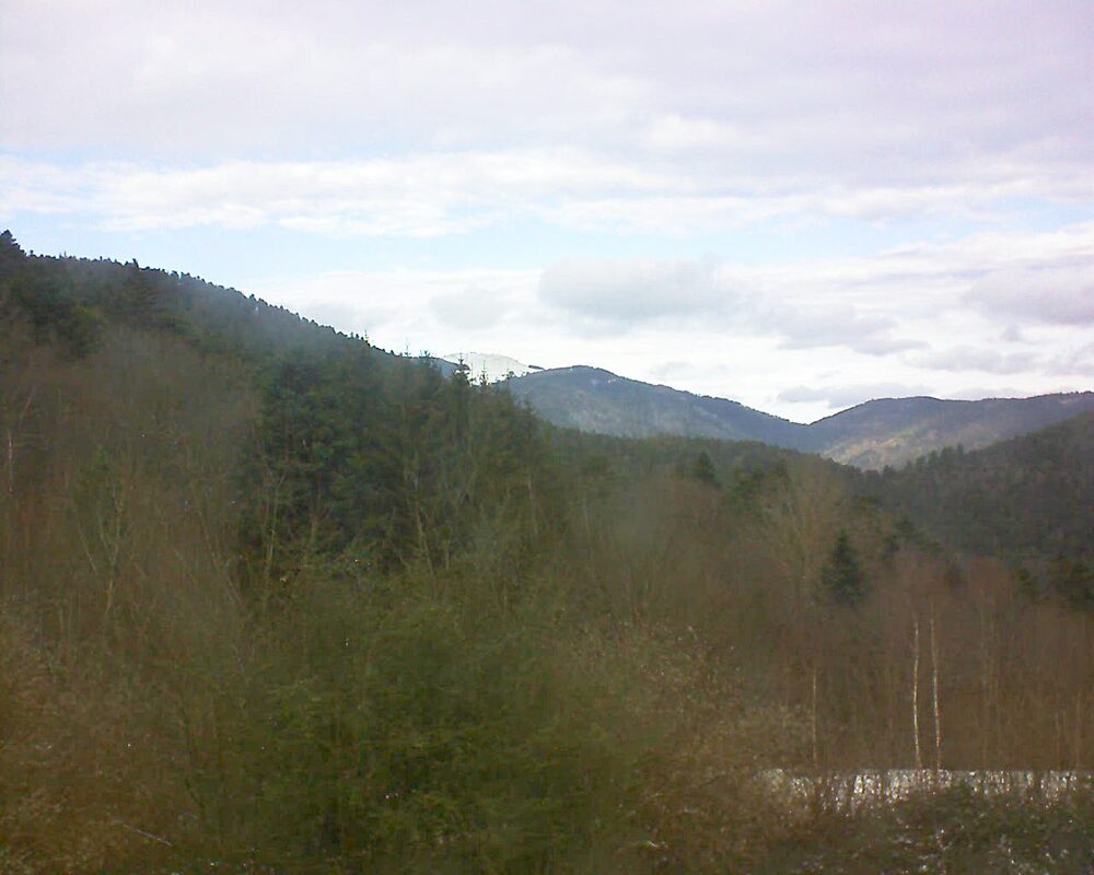 Le petit ballon vu depuis le Domaine Langmatt à Murbach le 10.01.2025 à 13:15 Le petit ballon (Alsace, Vosges) le 10.01.2025 à 13:15