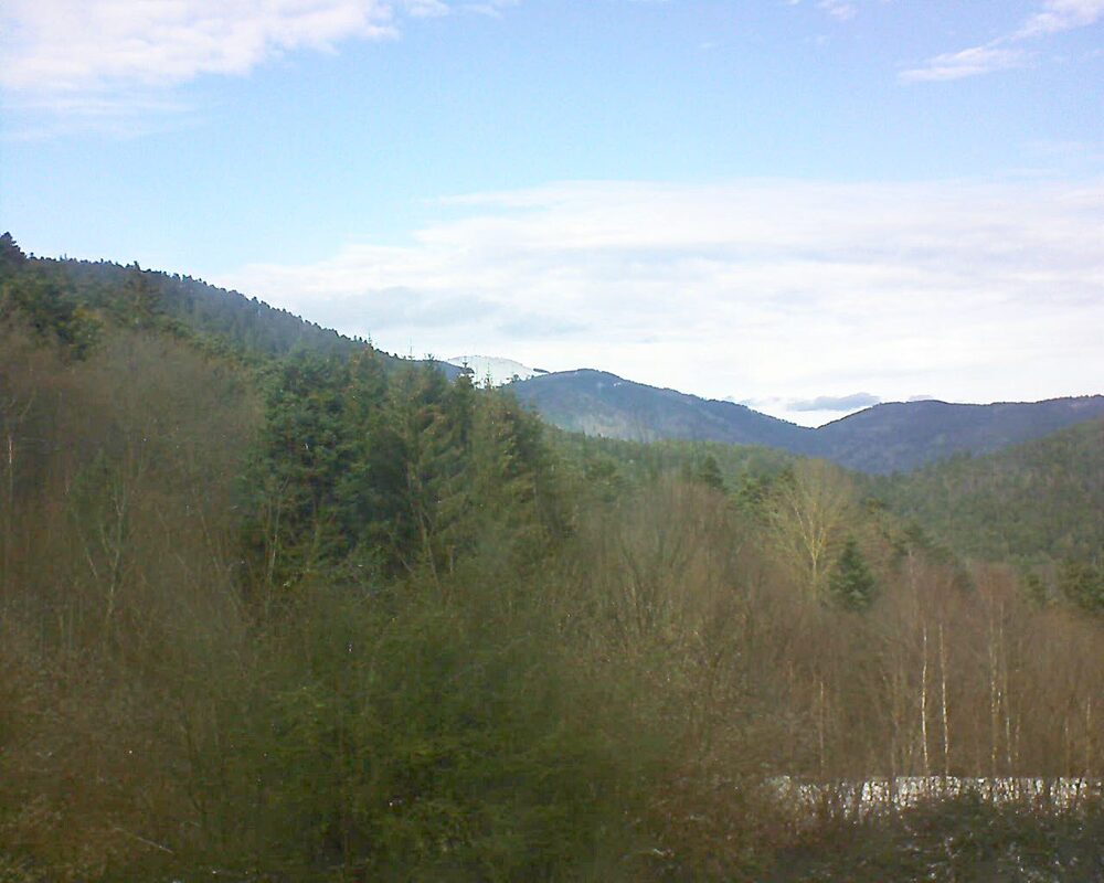 Le petit ballon vu depuis le Domaine Langmatt à Murbach le 10.01.2025 à 13:30 Le petit ballon (Alsace, Vosges) le 10.01.2025 à 13:30