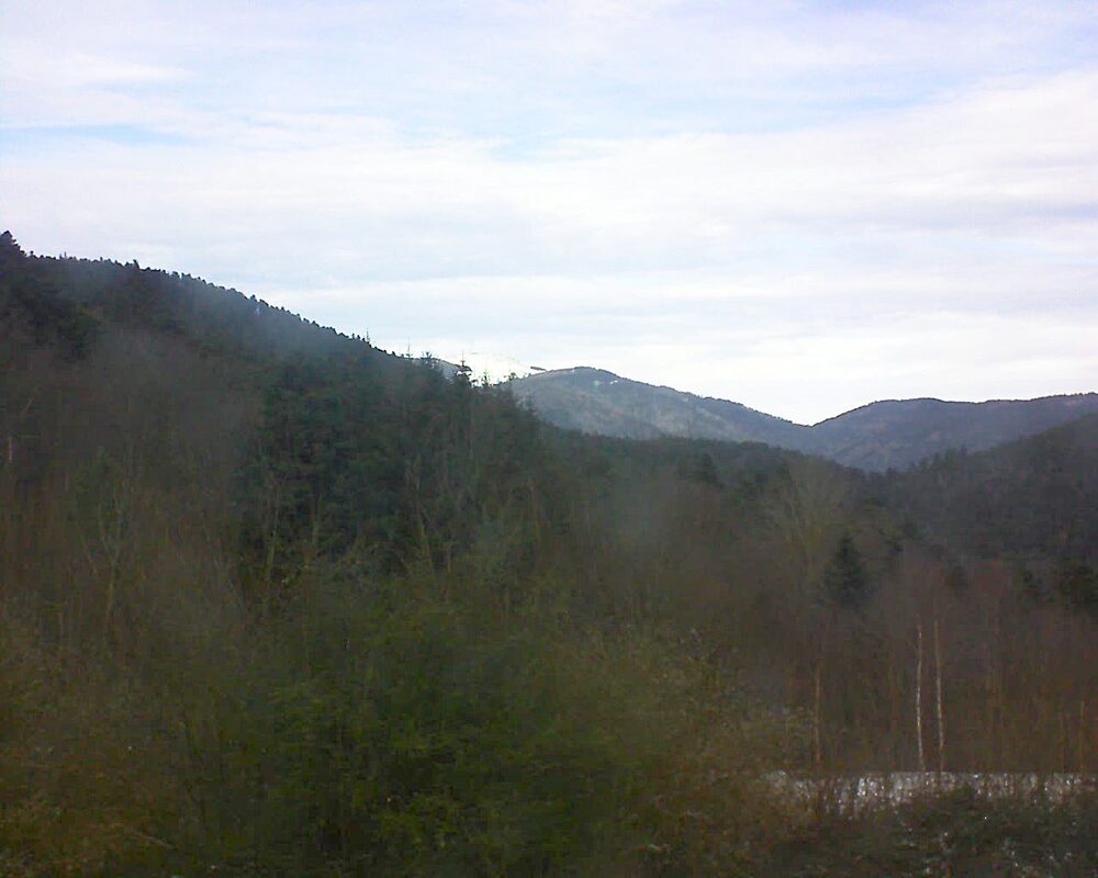 Le petit ballon vu depuis le Domaine Langmatt à Murbach le 10.01.2025 à 13:45 Le petit ballon (Alsace, Vosges) le 10.01.2025 à 13:45