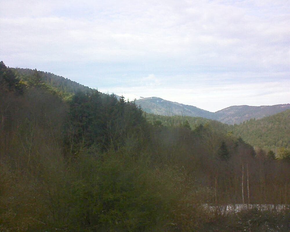 Le petit ballon vu depuis le Domaine Langmatt à Murbach le 10.01.2025 à 14:00 Le petit ballon (Alsace, Vosges) le 10.01.2025 à 14:00