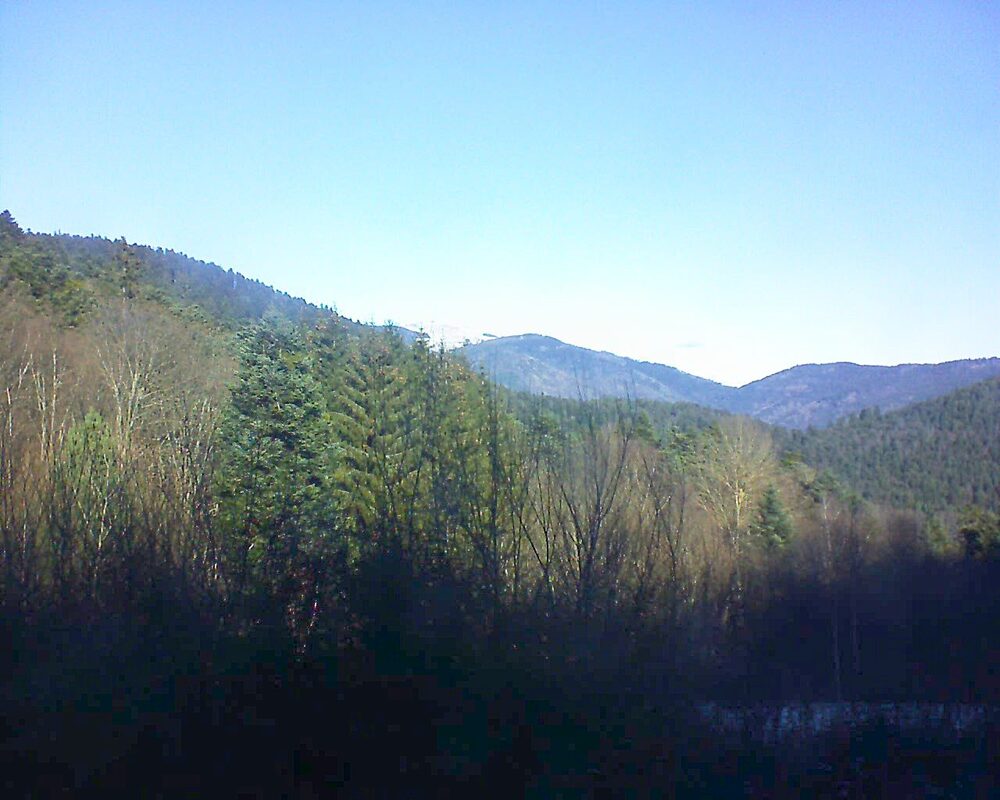 Le petit ballon vu depuis le Domaine Langmatt à Murbach le 11.01.2025 à 11:45 Le petit ballon (Alsace, Vosges) le 11.01.2025 à 11:45