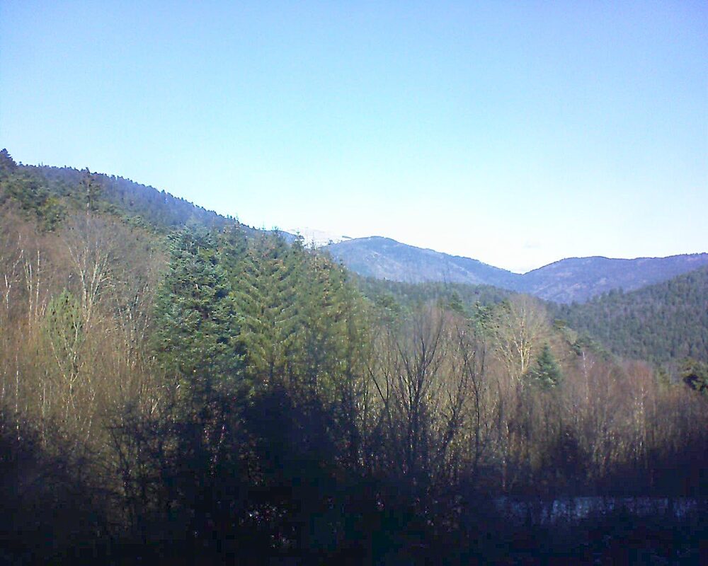 Le petit ballon vu depuis le Domaine Langmatt à Murbach le 11.01.2025 à 12:15 Le petit ballon (Alsace, Vosges) le 11.01.2025 à 12:15