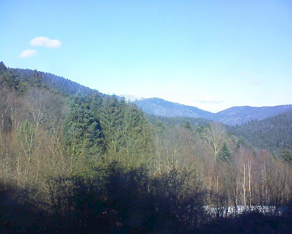 Le petit ballon vu depuis le Domaine Langmatt à Murbach le 11.01.2025 à 12:45 Le petit ballon (Alsace, Vosges) le 11.01.2025 à 12:45