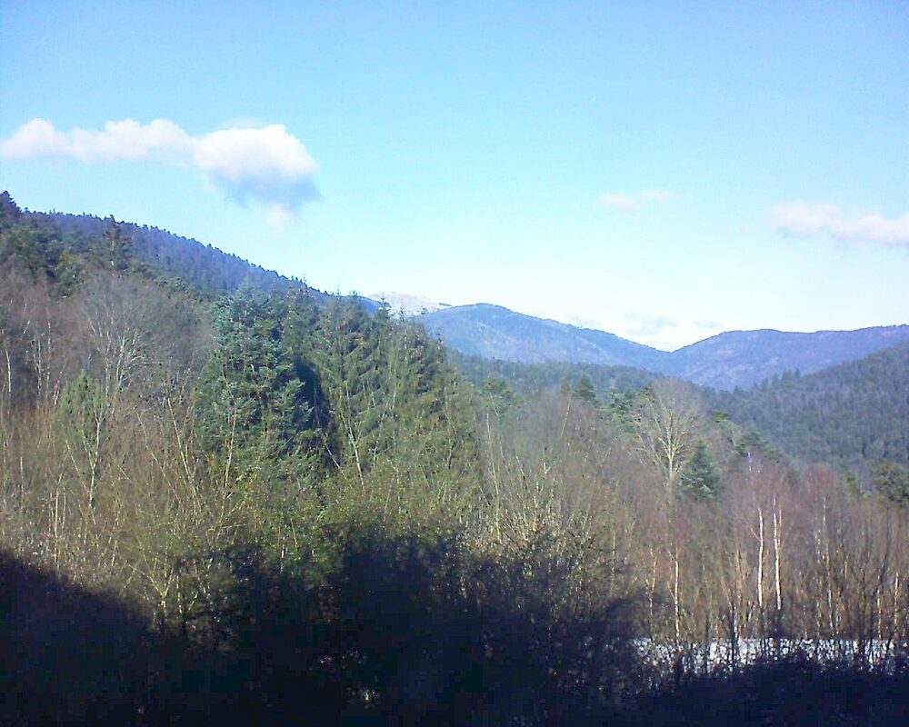 Le petit ballon vu depuis le Domaine Langmatt à Murbach le 11.01.2025 à 13:00 Le petit ballon (Alsace, Vosges) le 11.01.2025 à 13:00