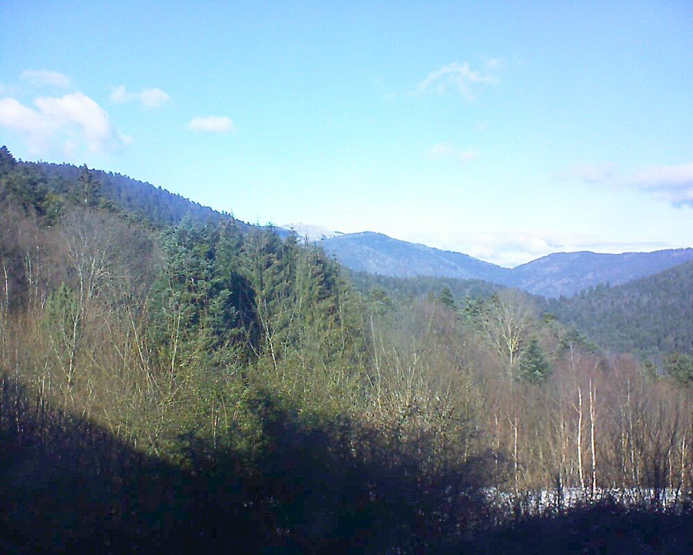 Le petit ballon vu depuis le Domaine Langmatt à Murbach le 11.01.2025 à 13:15 Le petit ballon (Alsace, Vosges) le 11.01.2025 à 13:15
