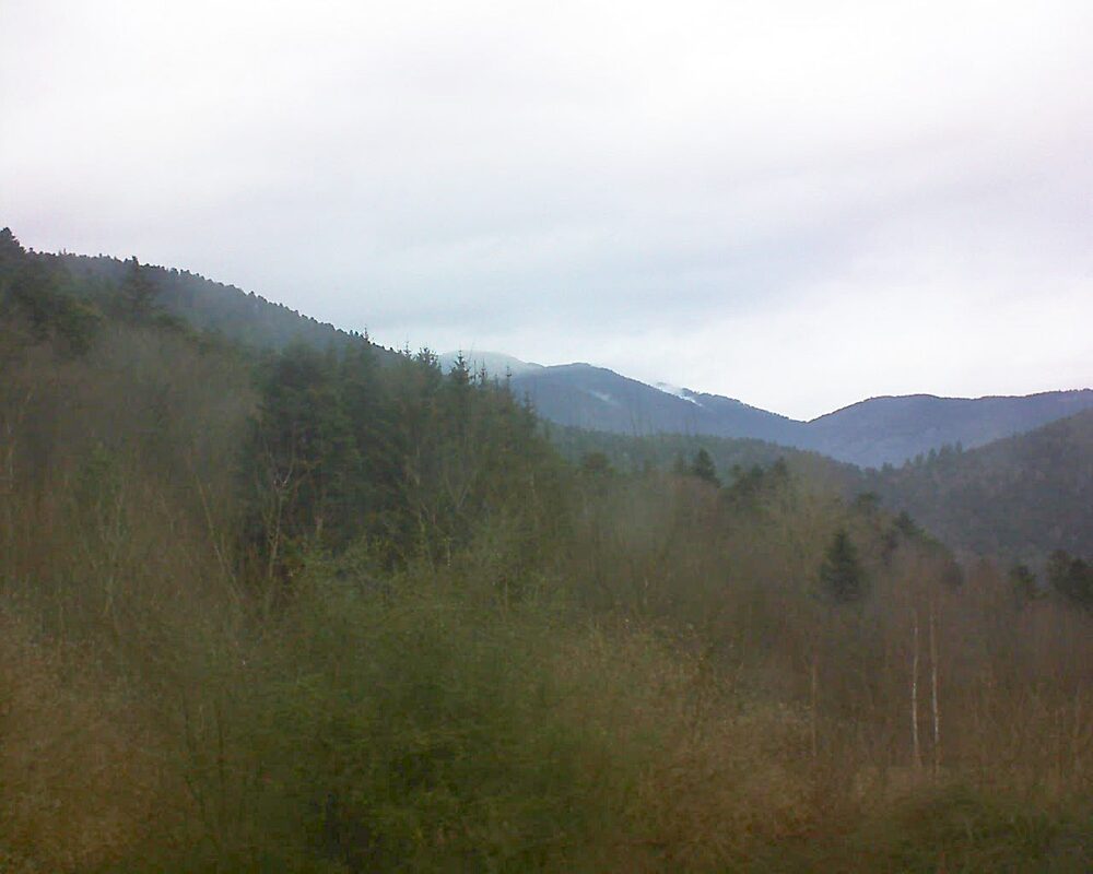 Le petit ballon vu depuis le Domaine Langmatt à Murbach le 22.01.2025 à 13:15 Le petit ballon (Alsace, Vosges) le 22.01.2025 à 13:15