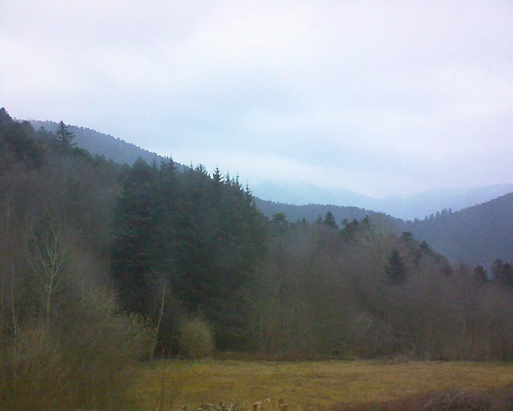 Le petit ballon vu depuis le Domaine Langmatt à Murbach le 15.03.2025 à 17:45 Le petit ballon (Alsace, Vosges) le 15.03.2025 à 17:45
