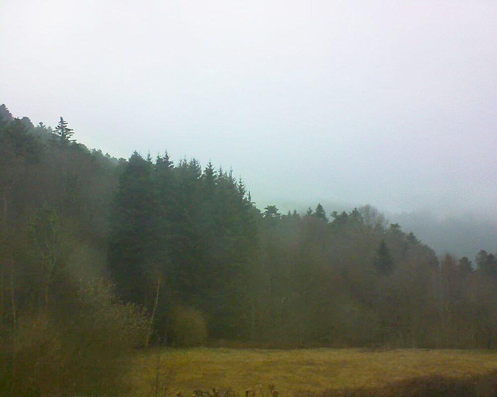 Le petit ballon vu depuis le Domaine Langmatt à Murbach le 16.03.2025 à 14:45 Le petit ballon (Alsace, Vosges) le 16.03.2025 à 14:45