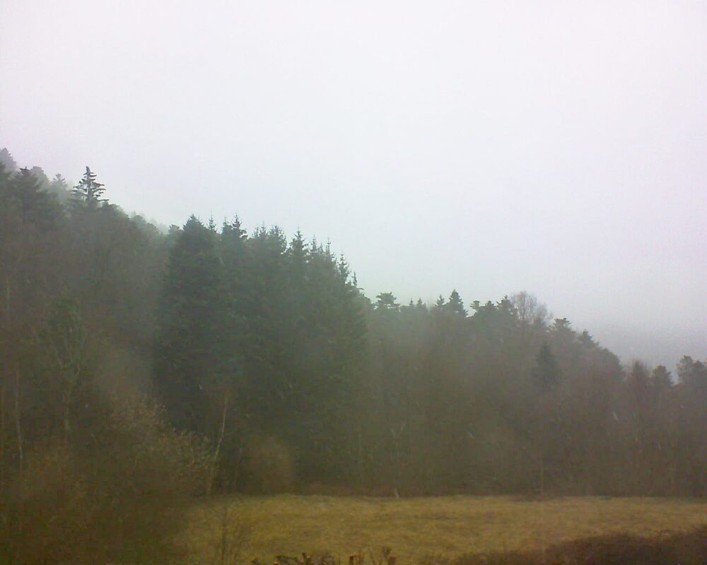 Le petit ballon vu depuis le Domaine Langmatt à Murbach le 16.03.2025 à 15:45 Le petit ballon (Alsace, Vosges) le 16.03.2025 à 15:45