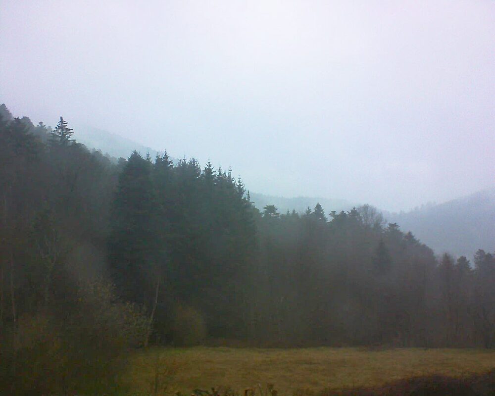 Le petit ballon vu depuis le Domaine Langmatt à Murbach le 16.03.2025 à 17:45 Le petit ballon (Alsace, Vosges) le 16.03.2025 à 17:45