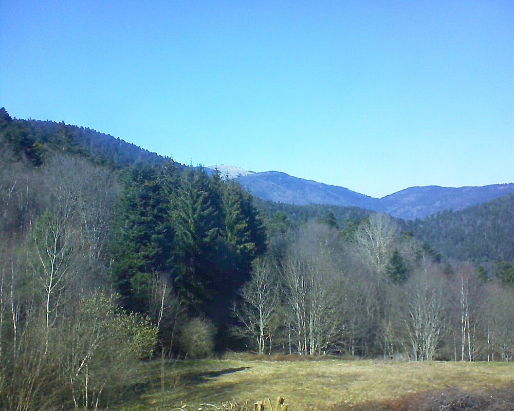 Le petit ballon vu depuis le Domaine Langmatt à Murbach le 19.03.2025 à 14:45 Le petit ballon (Alsace, Vosges) le 19.03.2025 à 14:45