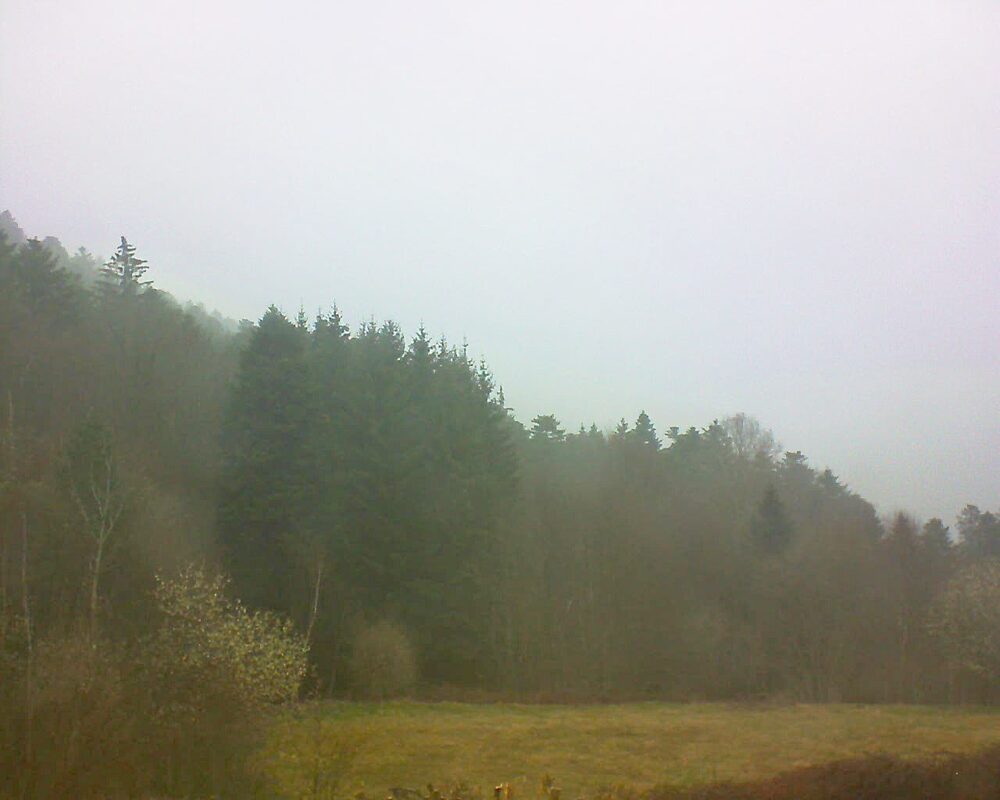 Le petit ballon vu depuis le Domaine Langmatt à Murbach le 26.03.2025 à 14:30 Le petit ballon (Alsace, Vosges) le 26.03.2025 à 14:30